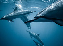 开云体育下载：开启极致体育体验的新入口